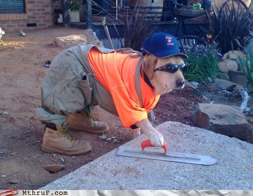 Monday Thru Friday: Didn't Feel Like Working Today, Sent The Dog Instead
