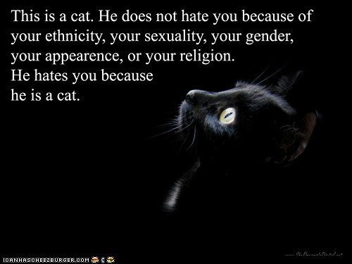 Kittehs Are Equal Opportunity Haters