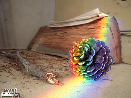 Rainbow Cone WIN