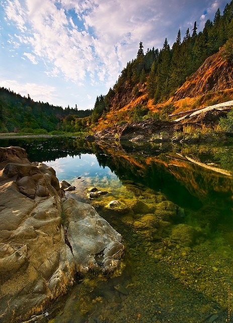 Eel River, Smithe Redwood Forest, California