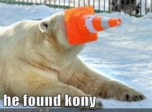 Invisible Polar Bear 