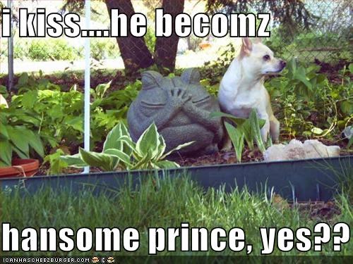 i kiss....he becomz  hansome prince, yes??
