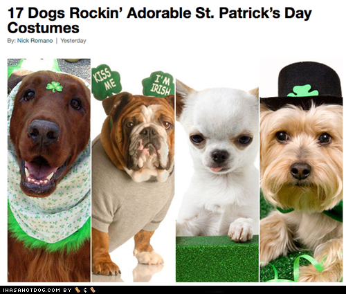 St. Patty's Day Goggies!