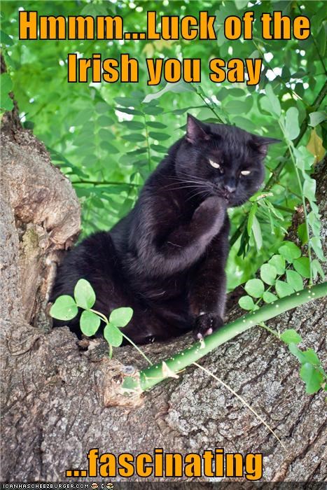 Lolcats: Datz Wun Fing 2 Call it...