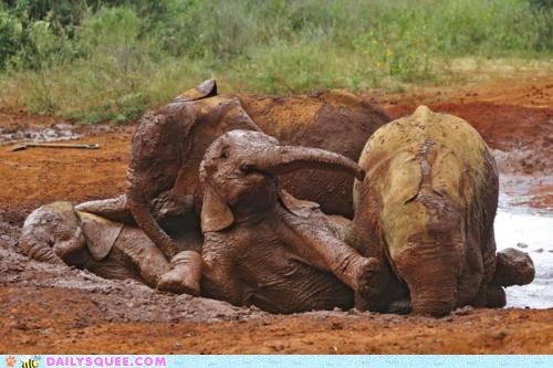 Daily Squee: Nice Day for a Mud Bath