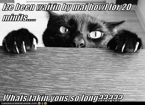 Ize been waitin by mai bowl for 20 minits.....  Whats takin yous so long?????