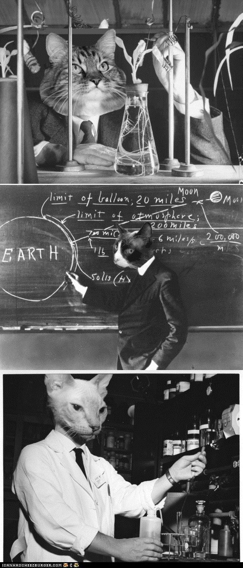 Cat Scientists: Your New Favorite Tumblr!