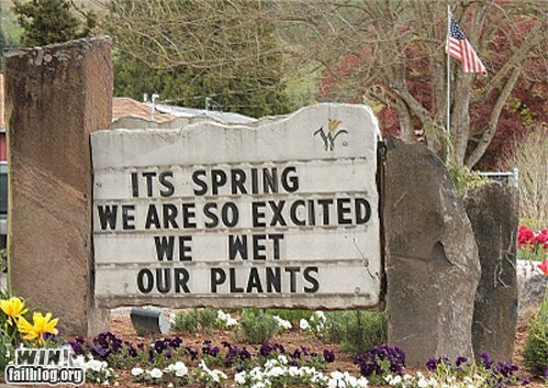 Spring is Here WIN