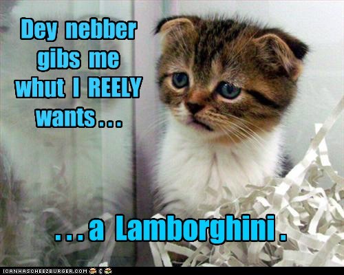Enuf wif da catnip mowsies!