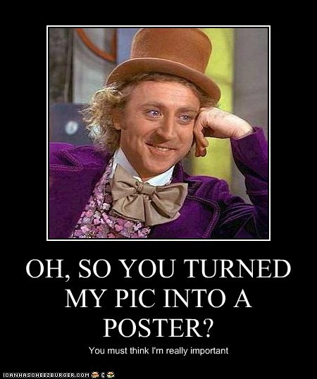 OH, SO YOU TURNED MY PIC INTO A POSTER?