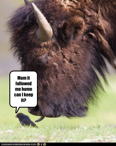 I'll Take Care of It, I Promise!