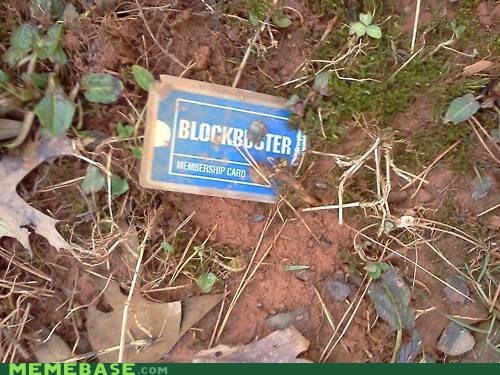I Found a Fossil!