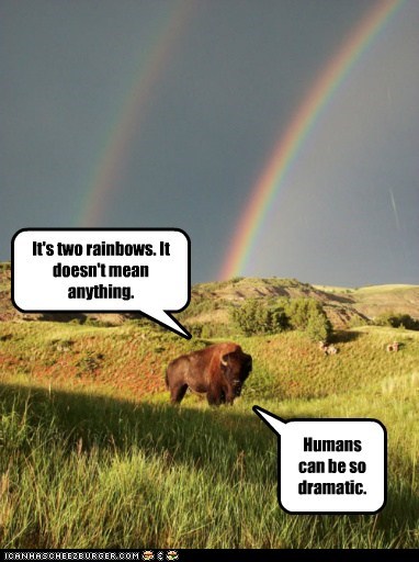 Pragmatic Buffalo is Unimpressed