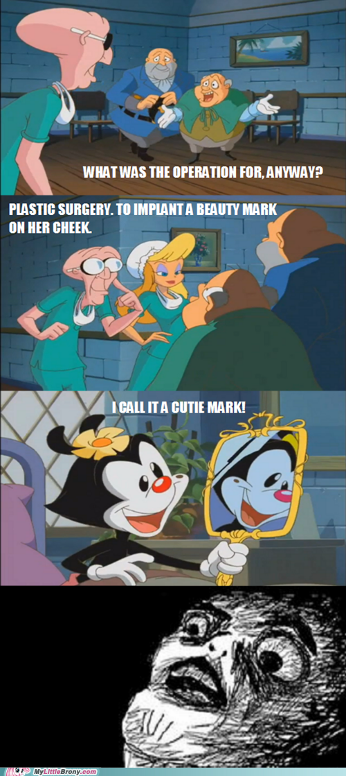The Animaniacs Prepared Me for Ponies