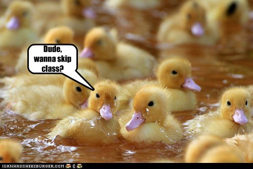 Dude, wanna skip class?