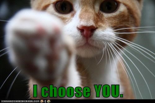 Lolcats: I Feel So Special!