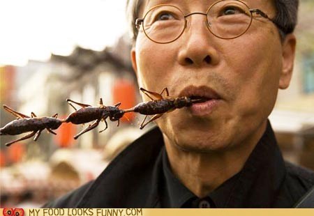 Crunchy Cricket Snack