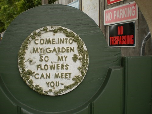The Flowers Say No
