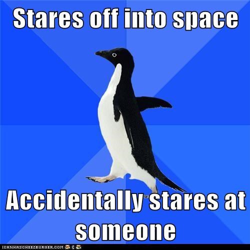 Animal Memes: Socially Awkward Penguin - Fixes It By Looking Away Quickly and Blushing