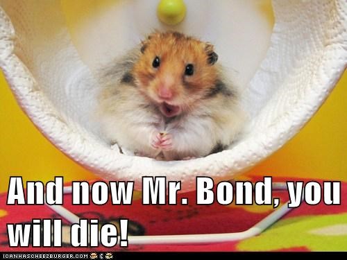 Mwa Ha Hamster!