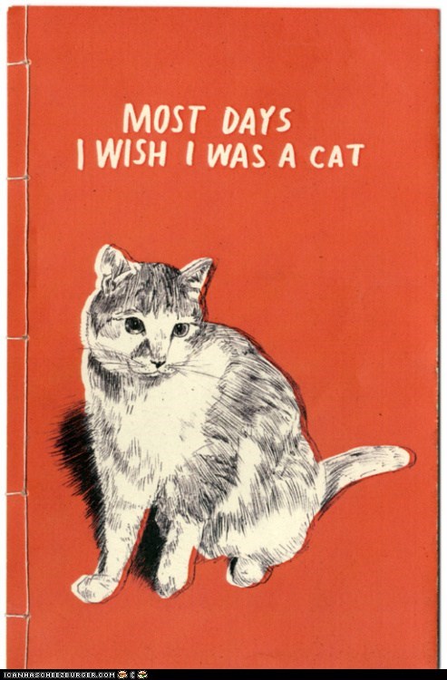 I Think We All Do
