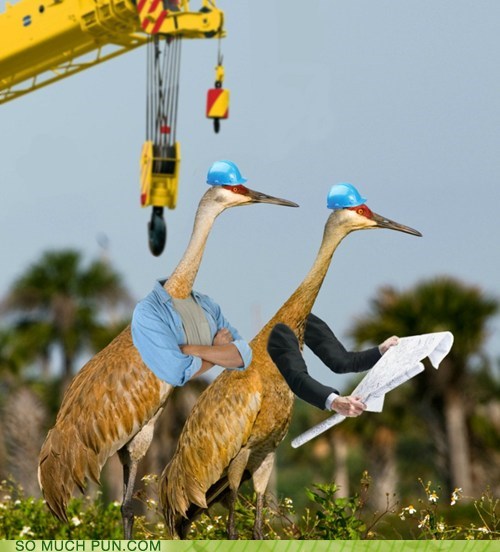 Construction Cranes