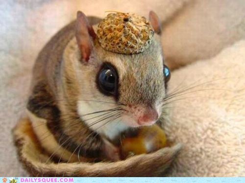 Nice Hat!
