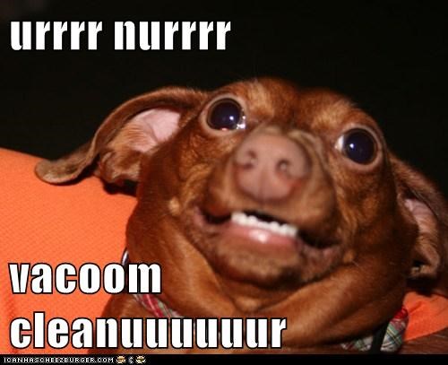 Not Teh Vacuum Derper