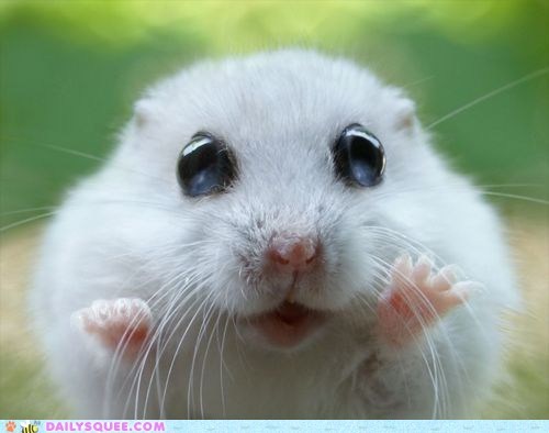 Daily Squee: I Can See Forever!