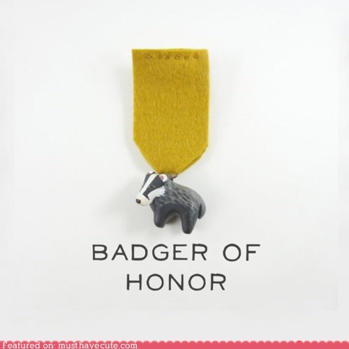 I Am Honored to Wear the Badger