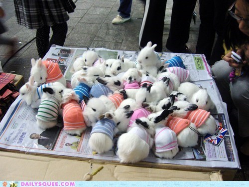 Daily Squee: Bun-Sweater Party!