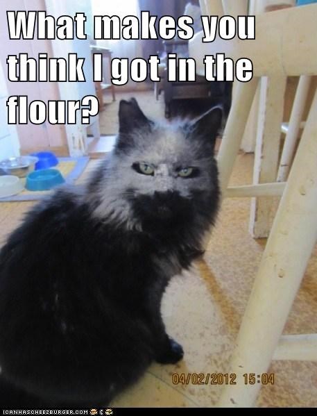 Lolcats: HMMM I DUNNO WHAT COULD IT BE?????