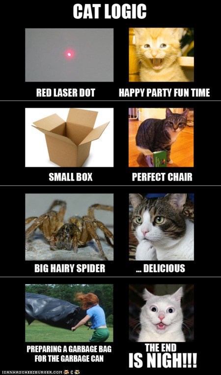 Cat Logic...
