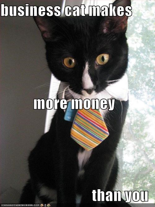 business cat makes more money than you