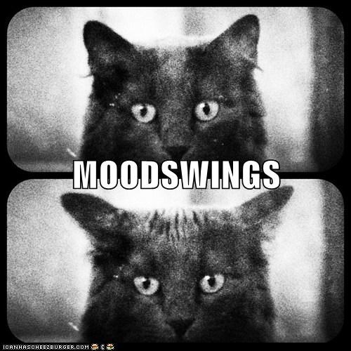 MOODSWINGS