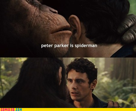 Say What!?