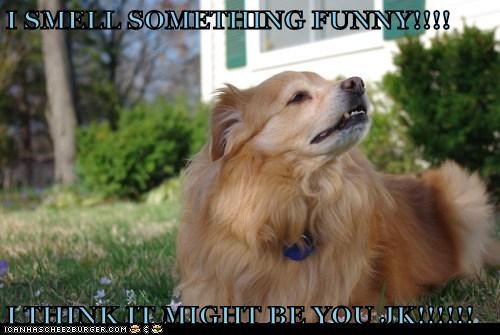 I SMELL SOMETHING FUNNY!!!!  I THINK IT MIGHT BE YOU JK!!!!!!