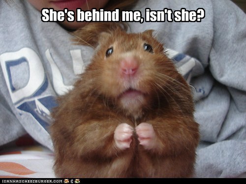 Aaaagghh...!