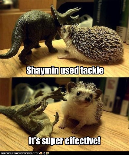 Pokemon Battle IRL