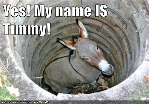 Now Where Is Lassie?!