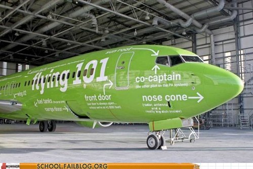 Flying 101: Everything You Need to Know And More