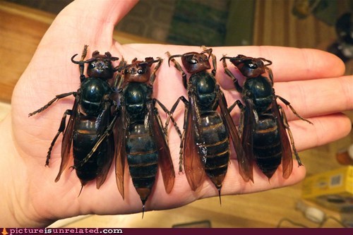 Damn Nature, You Scary!