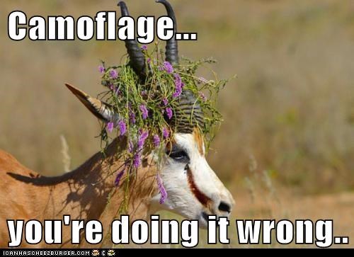 Not According to the Lions
