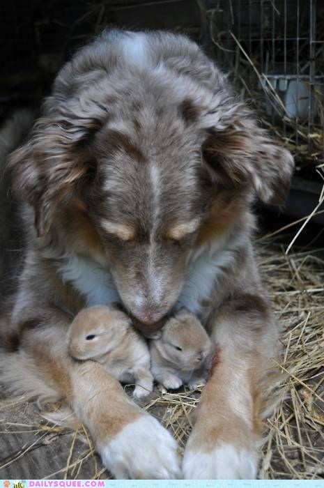 Bunday: I'll Protect You