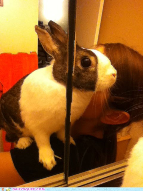 Reader Squees: Bun Vanity