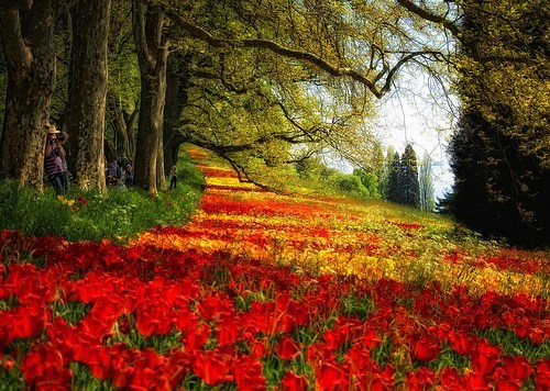 Mainau, Germany
