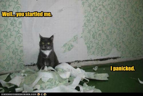 Why I tore up the wallpaper?