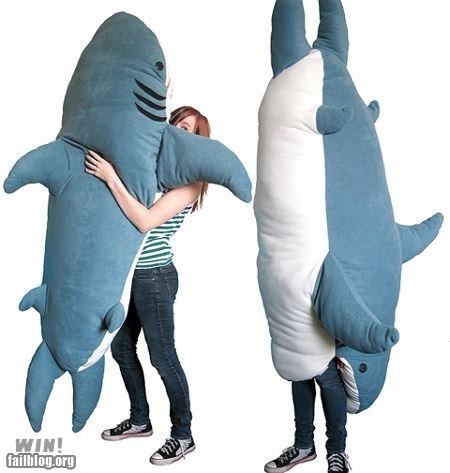 WIN!: Shark Pillow WIN