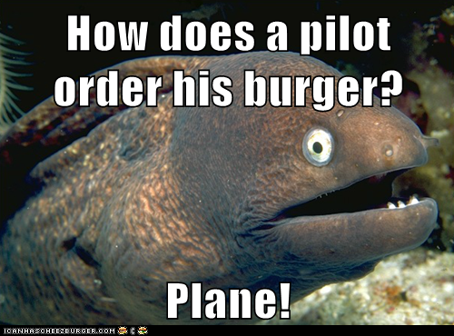 How does a pilot order his burger?  Plane!