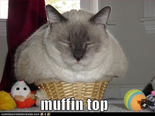 Classic LOLcat